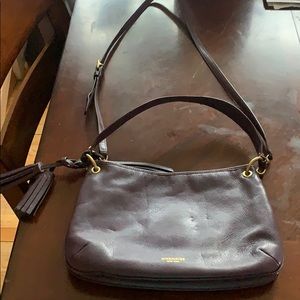 Purple and Gold Coach